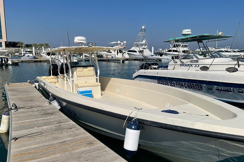 Shark 39 — Fujairah