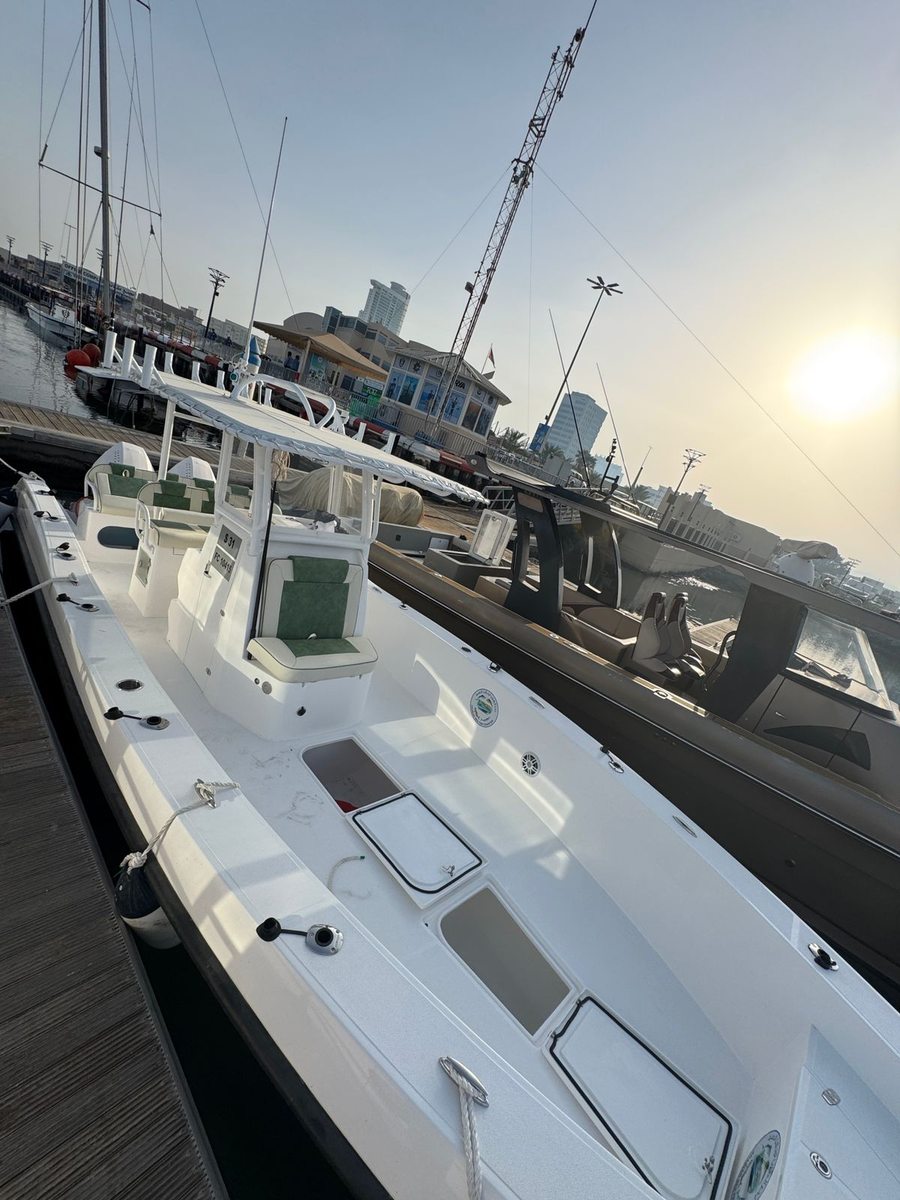 Shark 31 — Fujairah